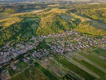 High angle view of trees and houses in field