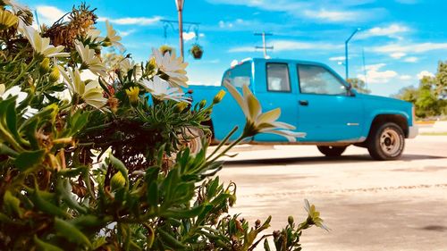 View of small car on blue road