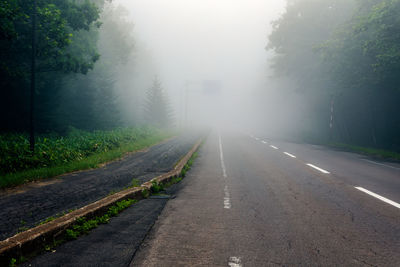 Empty road along trees