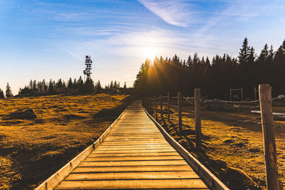 Boardwalk amidst trees against sky during sunset