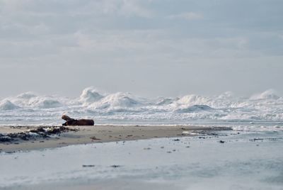 Scenic view of beach against sky