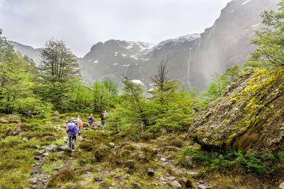 Rear view of people walking on mountain amidst trees