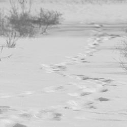 Scenic view of snow covered landscape