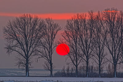 Bare trees on snow covered land against sky during sunset