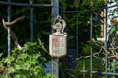 Close-up of antique hanging on metal structure