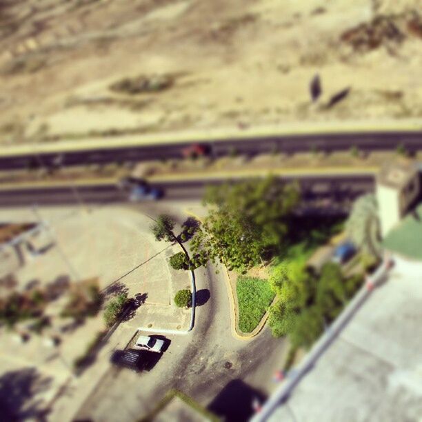 selective focus, transportation, focus on foreground, plant, high angle view, close-up, growth, day, focus on background, no people, nature, outdoors, mode of transport, tree, sunlight, road, street, green color, built structure, land vehicle