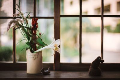 Close-up of potted plant on table