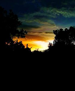 Silhouette trees against sky during sunset