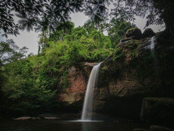 Waterfall in forest