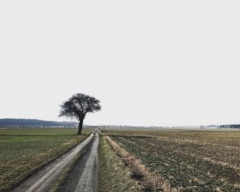 Road by agricultural field against clear sky