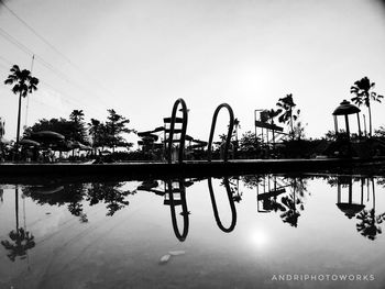 Reflection of palm trees in swimming pool