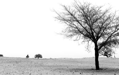 Bare trees on landscape against clear sky