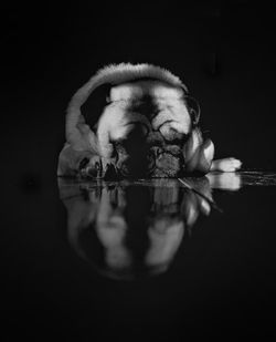 Double exposure of man and black background