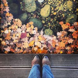 Low section of person standing on wood by pond