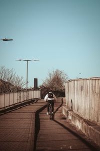 Rear view of man riding bicycle on street