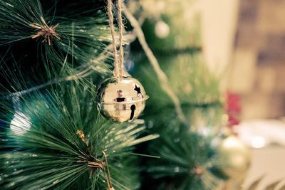 Close-up of christmas tree