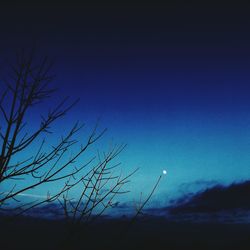 Low angle view of silhouette tree against sky at night