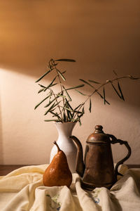 Close-up of plant on table against wall at home