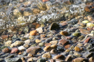Detail shot of pebbles