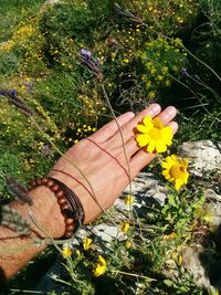 Low section of woman with yellow flowers