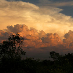 Scenic view of silhouette trees against sky during sunset