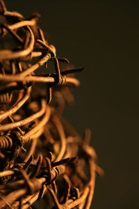 Detail shot of barbed wire against blurred background