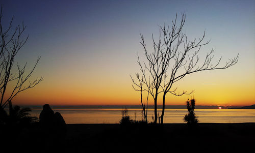 Silhouette of bare trees in lake at sunset