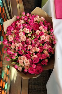High angle view of pink roses in pot