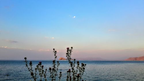 People at beach against sky during sunset