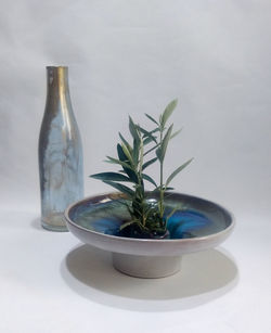 Blue glass bottle and olive branches in ceramic vase 