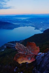 Close-up of rocks by sea against sky