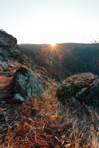 Scenic view of landscape against clear sky