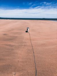 Man photographing at beach against sky