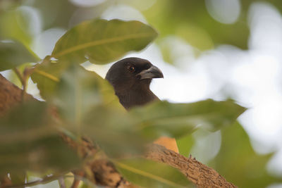 Bird perching on a plant