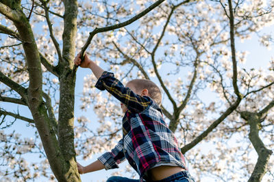 Low angle view of child on tree