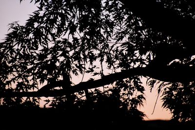 Low angle view of silhouette tree against sky at sunset