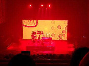 Rear view of people at night