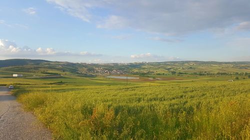Scenic view of agricultural field against sky
