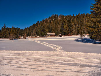 Snow covered trees in forest against sky