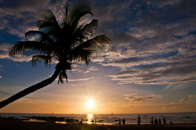 Silhouette palm trees on beach against sky during sunset