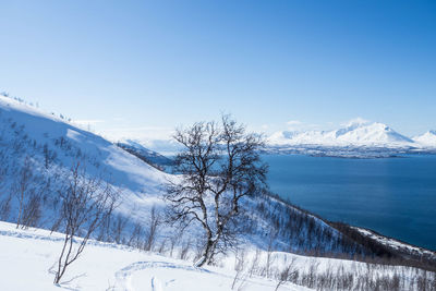 Scenic view of snowcapped mountains