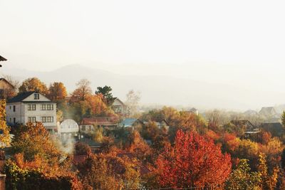 Plants and trees by buildings against sky during autumn