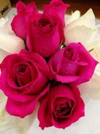 Close-up of pink rose bouquet