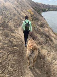 Rear view of man walking with dog on water