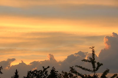 Silhouette trees against sky during sunset