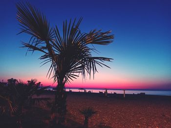 Palm tree by sea against clear sky at sunset