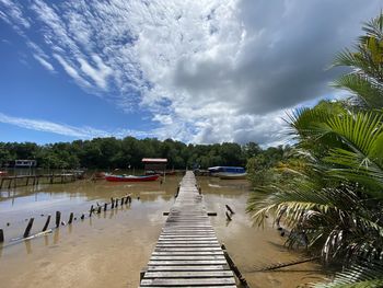 Scenic view of palm trees against sky
