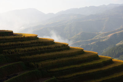 Scenic view of agricultural field against mountains