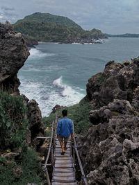 Rear view of man looking at sea shore