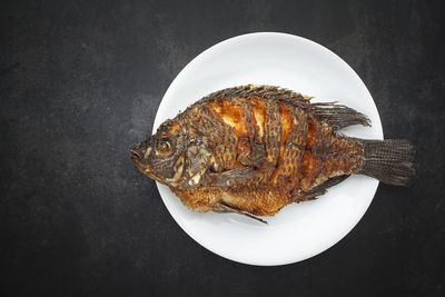 Tasty large fried nile tilapia fish in simple white plate on dark tone texture background, top view